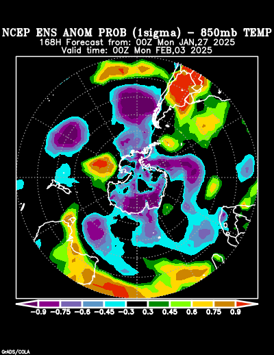 NCEP Ensemble forecast product