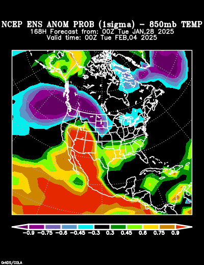 NCEP Ensemble forecast product