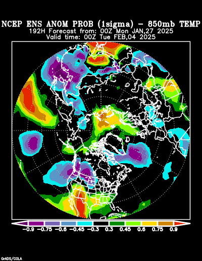 NCEP Ensemble forecast product