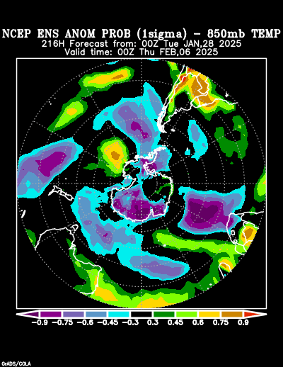 NCEP Ensemble forecast product