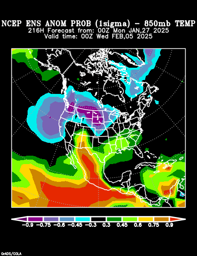 NCEP Ensemble forecast product