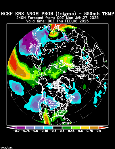 NCEP Ensemble forecast product