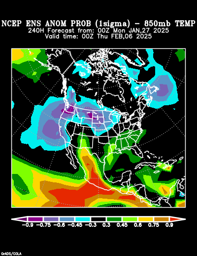 NCEP Ensemble forecast product