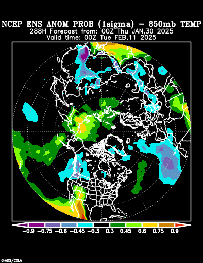 NCEP Ensemble forecast product