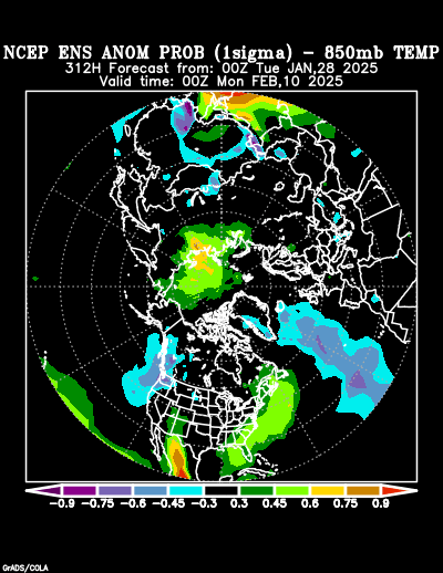 NCEP Ensemble forecast product