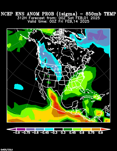 NCEP Ensemble forecast product