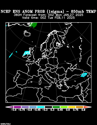 NCEP Ensemble forecast product