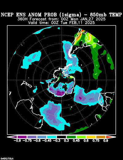 NCEP Ensemble forecast product