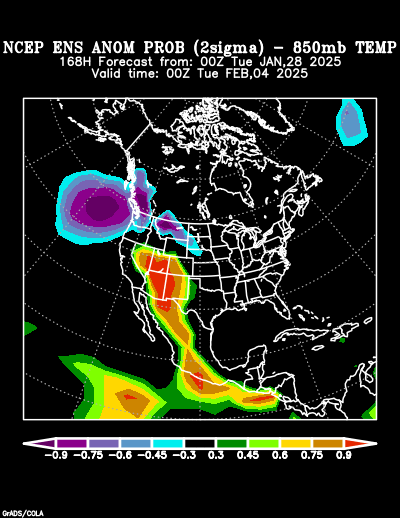 NCEP Ensemble forecast product