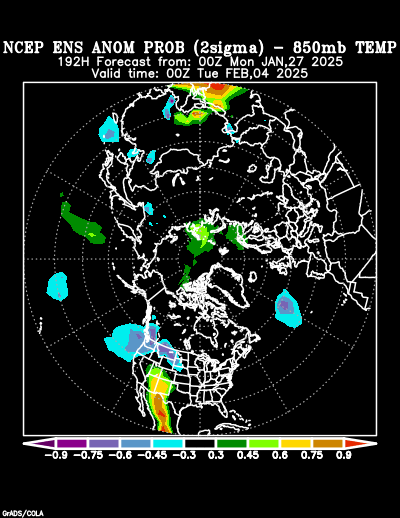 NCEP Ensemble forecast product