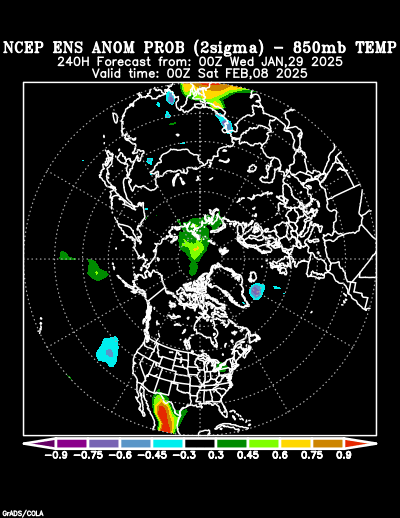 NCEP Ensemble forecast product