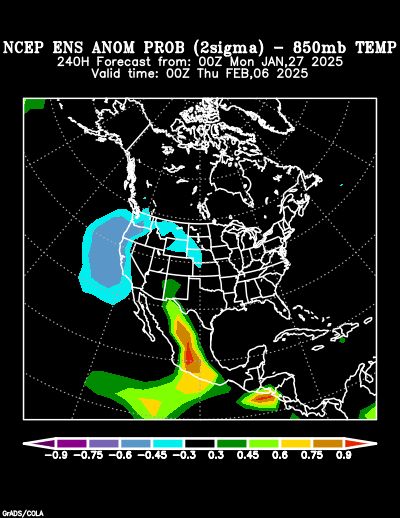 NCEP Ensemble forecast product