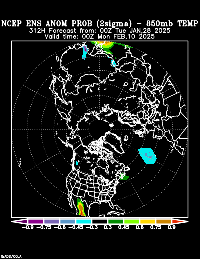 NCEP Ensemble forecast product