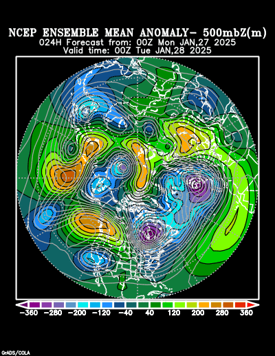 NCEP Ensemble t = 024 hour forecast product