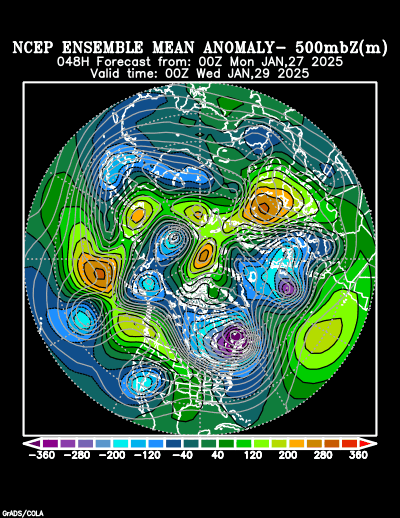 NCEP Ensemble t = 048 hour forecast product