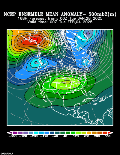 NCEP Ensemble t = 168 hour forecast product