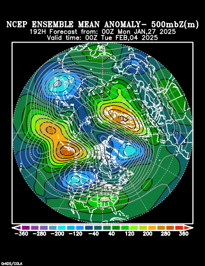 NCEP Ensemble t = 192 hour forecast product