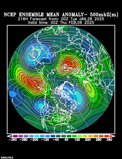 NCEP Ensemble t = 216 hour forecast product