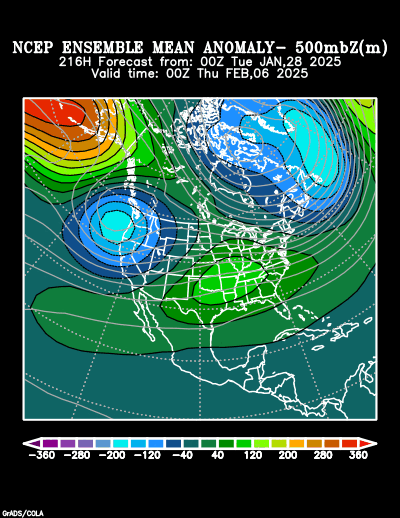 NCEP Ensemble t = 216 hour forecast product