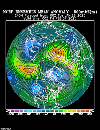 NCEP Ensemble t = 240 hour forecast product