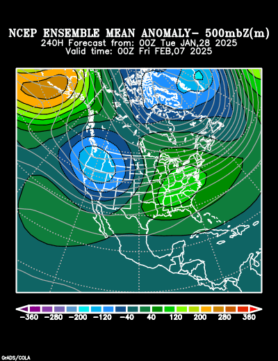 NCEP Ensemble t = 240 hour forecast product