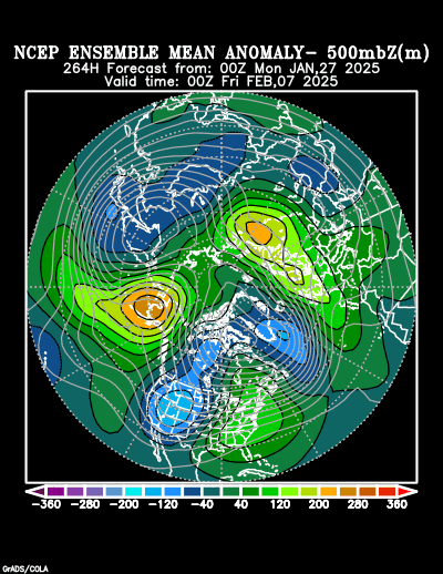 NCEP Ensemble t = 264 hour forecast product