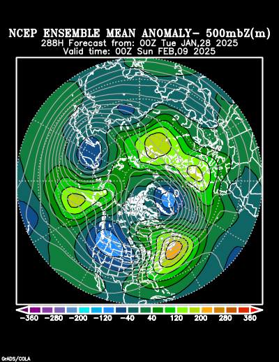 NCEP Ensemble t = 288 hour forecast product