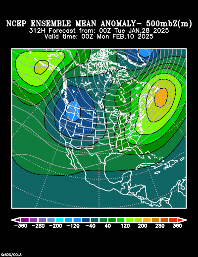 NCEP Ensemble t = 312 hour forecast product