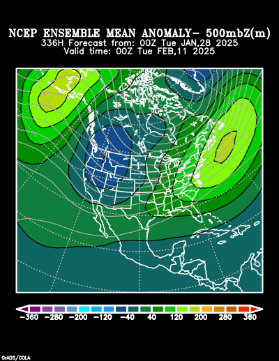 NCEP Ensemble t = 336 hour forecast product