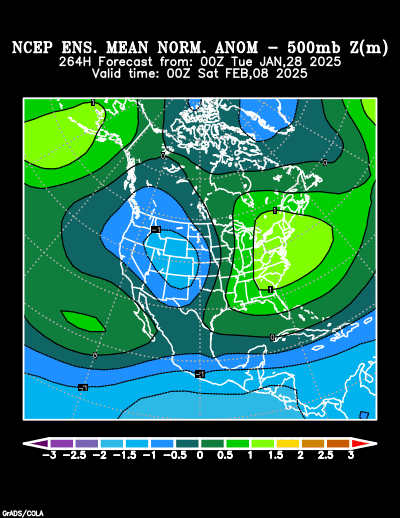 NCEP Ensemble forecast product