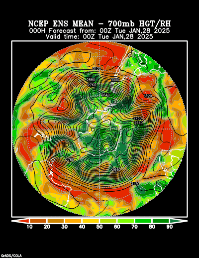 NCEP Ensemble forecast product