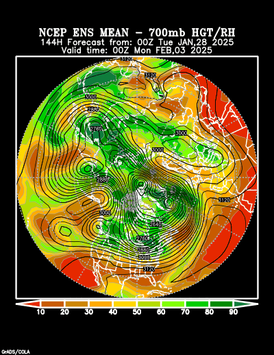 NCEP Ensemble forecast product