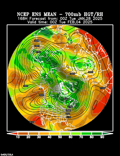 NCEP Ensemble forecast product