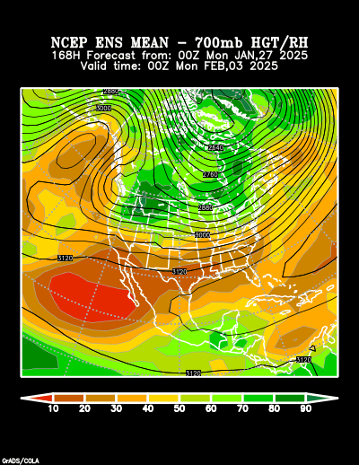 NCEP Ensemble forecast product