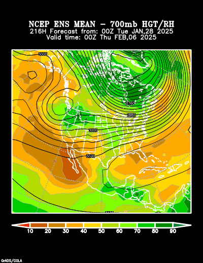 NCEP Ensemble forecast product