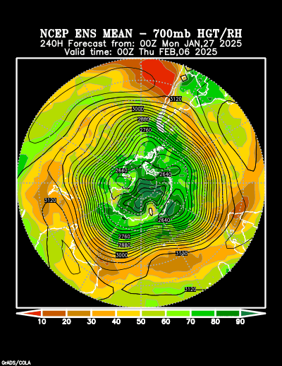 NCEP Ensemble forecast product