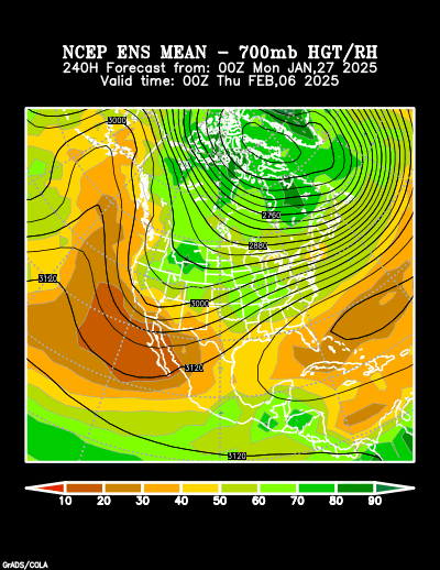 NCEP Ensemble forecast product