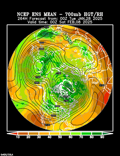 NCEP Ensemble forecast product