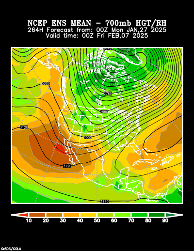 NCEP Ensemble forecast product