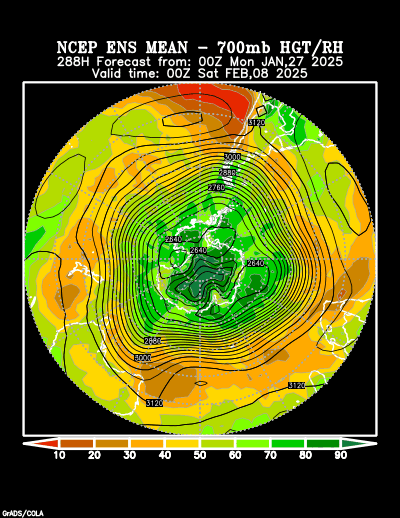 NCEP Ensemble forecast product