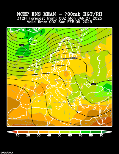 NCEP Ensemble forecast product