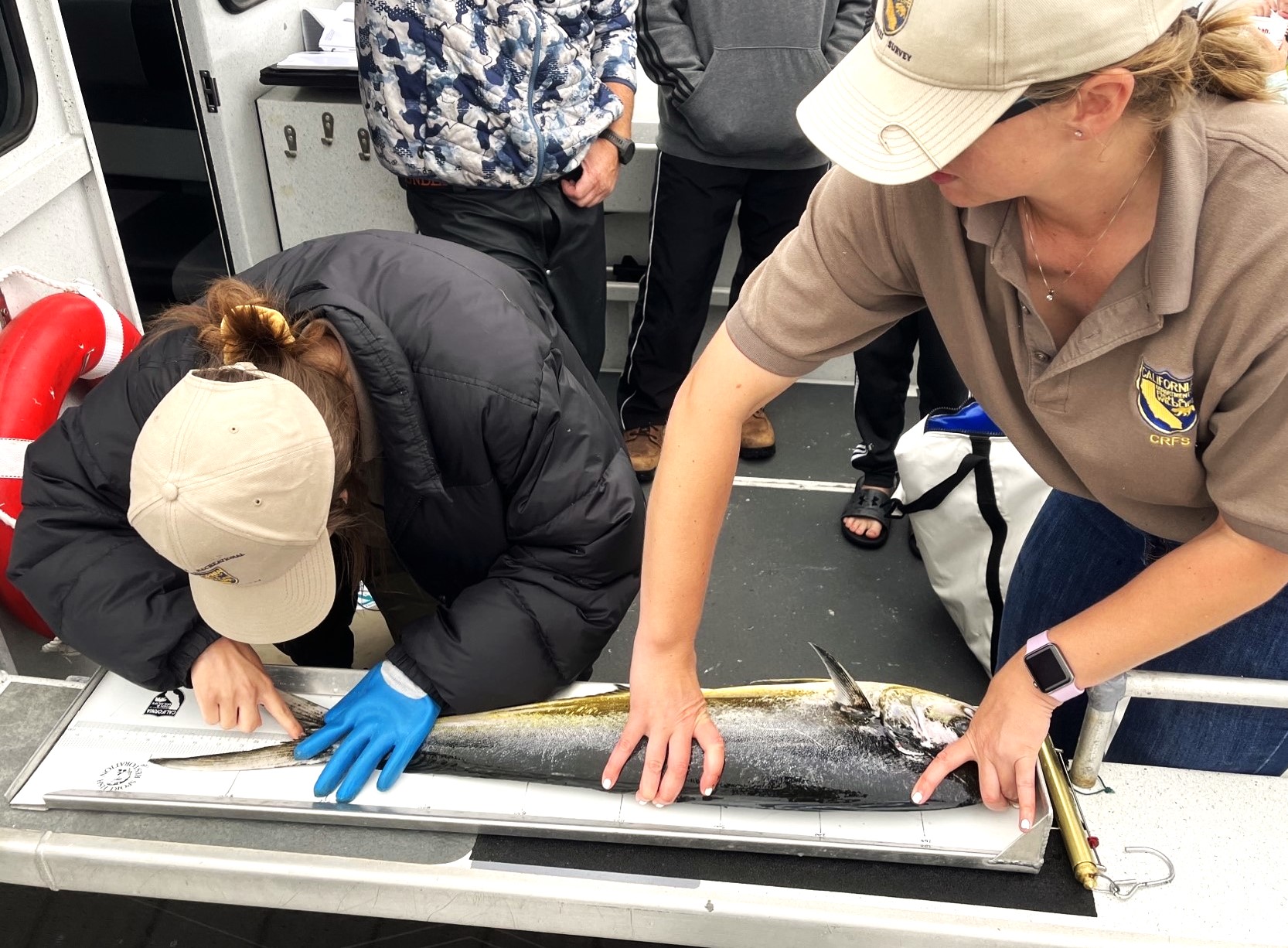 Two samplers in a boat measuring a fish on a measuring board