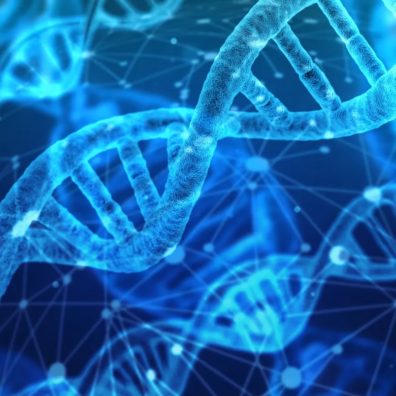 DNA sequencing of microorganisms and microflora