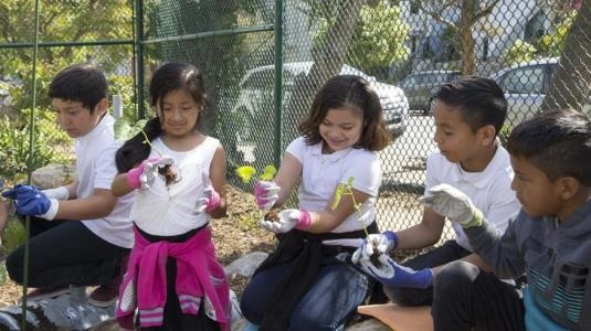 kids holding plants