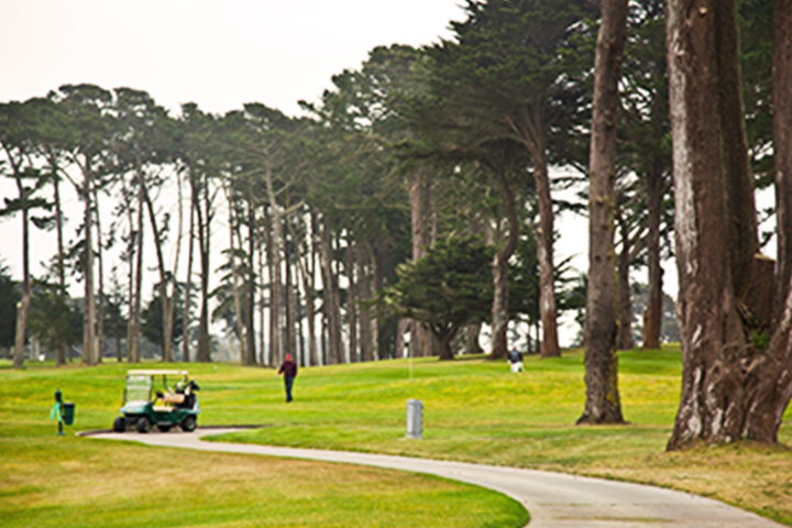 cart path and fairway at Harding Park