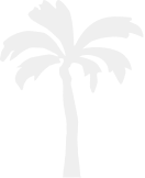 palm tree