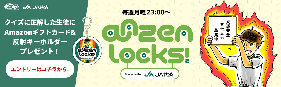 ANZEN LOCKS!