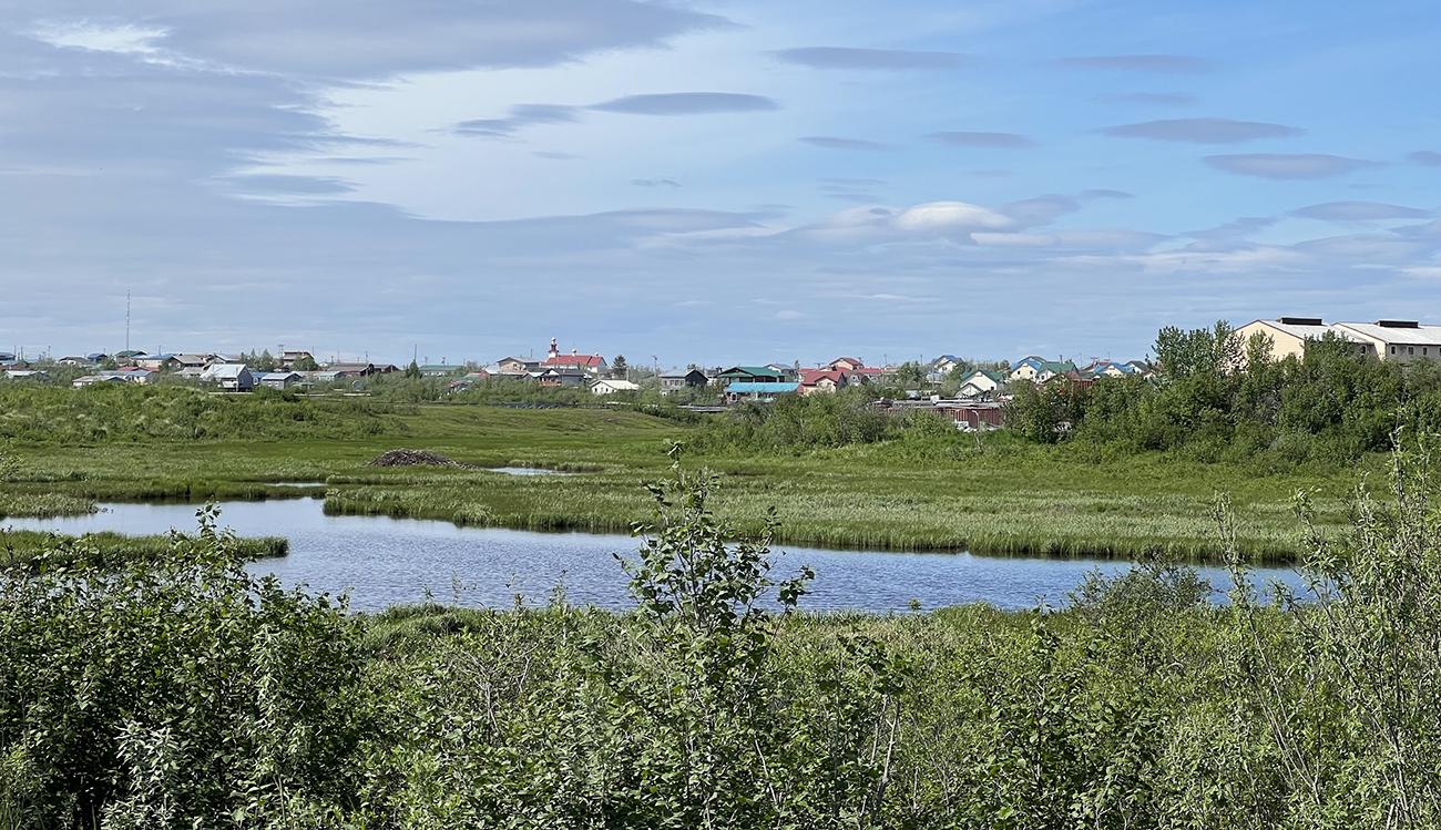 A clear body of water surrounded by lush greenery in the foreground