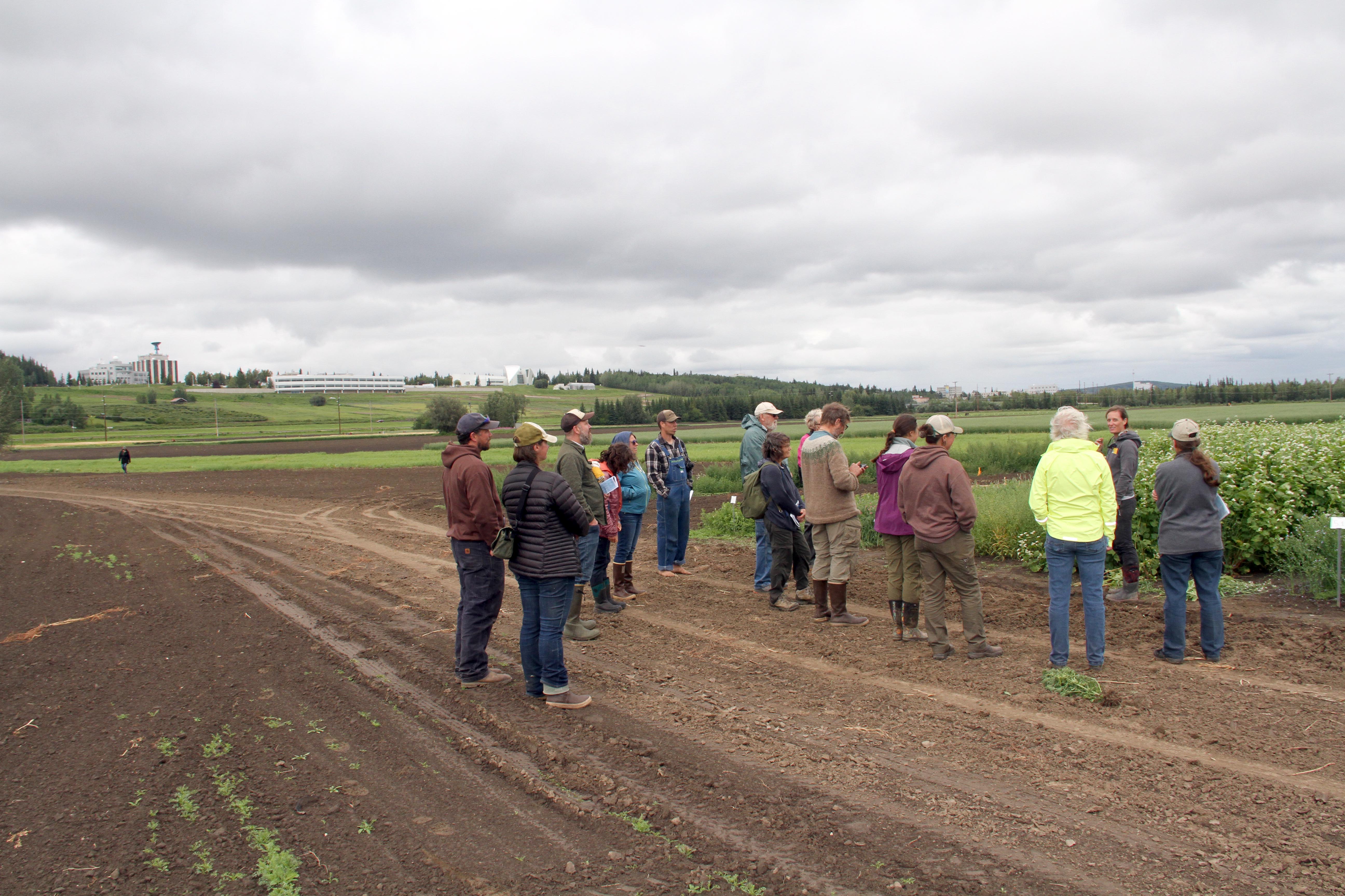 A group of people are standing in a field facing a woman giving a presentation on the flowering plants behind her. University buildings are seen on the hillside in the background.