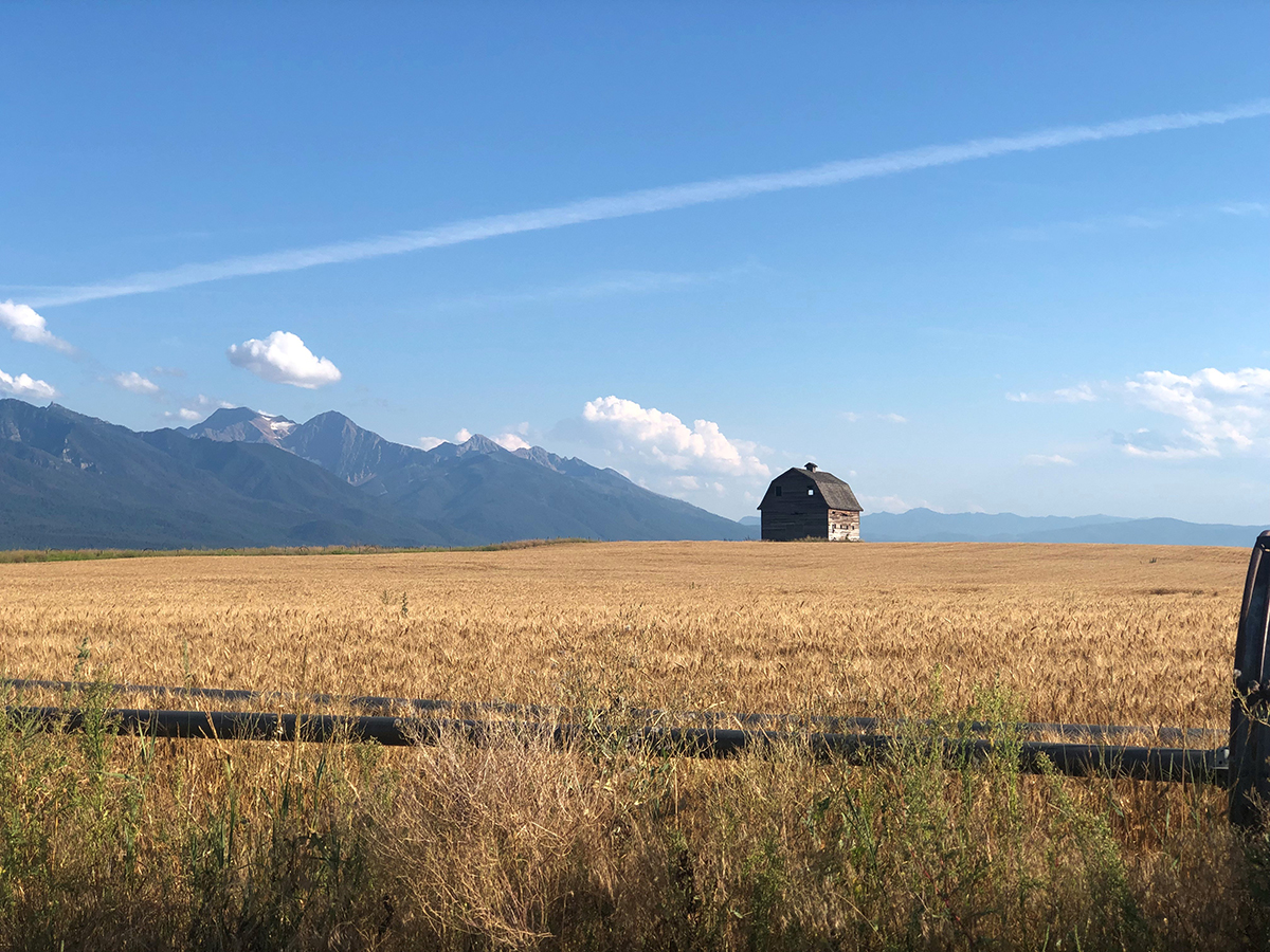 Photo of a barn in the Mission Valley